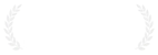 Lovie Award XR-Best Experience